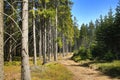 Spring Landscape, ÃÂ piÃÂÃÂ¡k, ski resort, Bohemian Forest (ÃÂ umava), Czech Republic